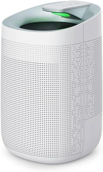 1000ml Dehumidifier w/Air Purifying Function, True HEPA Filter, Auto Shut off, Ultra-Quiet, Ideal for RV Closets Bathrooms Q9 1 Filter