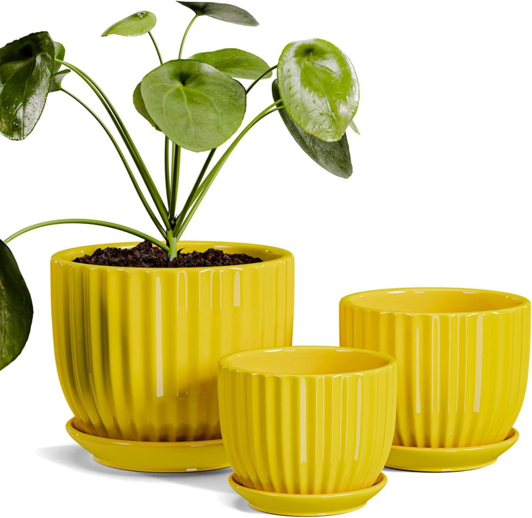 Ton Sin Ceramic Flower Pots,Yellow Plant Pots for Indoor Plants,4.1+5.1+6.5 inch Ceramic Plant Pots with Tray,Medium Indoor Planters for Aloe Cactus Decorative Pots with Drainage Hole (Set of 2) (Yelllow)