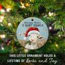 2 x Goat Christmas Ornament 2025 - Funny Goat Gifts for Goat Lovers, Women, Men, Farm Animal Ornaments for Family, Friends, Farmers - Rustic Ceramic Hanging Holiday Decorations