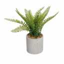 HD Designs Fern Greenery Artificial Plant 13"