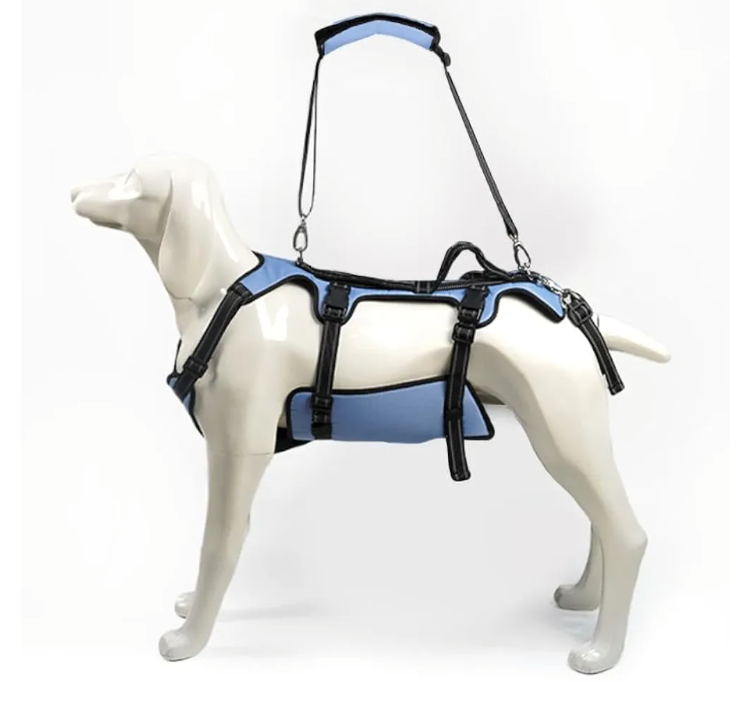 Coodeo Dog Lift Harness, Full Body Support & Recovery Sling, Pet Rehabilitation Lifts Vest for Old Dog with Arthritis Walk(Bule,XL)