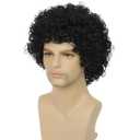 Curly Wig Men Afro Short Black Rocker Party Wigs 70s 80s Fluffy Synthetic Daily Cosplay Halloween Hair Wig for Male Guys (Black)