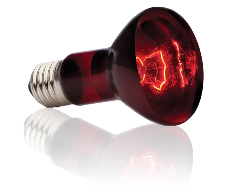 Exo Terra ROLF Hagen PET-538830 Infrared Basking Spot - 75W (75W)