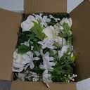 House 2 Pack Artificial Decoration, 6 Ft Strand