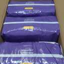 Amazon Basics Postpartum Incontinence Underwear for Women, Maximum Absorbency, Disposable, Bladder Leak Protection, Odor Control, Comfortable Fit, XX-Large, Lavender, 42 Count (3 Packs of 14)