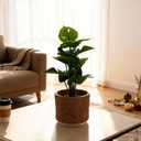 2-Piece Brown Knitted Texture Concrete Planter Set - 6" & 3.9" Indoor Decorative Pots for Plants, Succulents & Flowers | Rustic Farmhouse Home Decor (Non-Drainage Cache Pots)