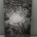 Visual Art Decor Black and White Full Moon Picture Wall Decor Nature Forest Landscape Wall Art Night Scenery Art Print Framed Ready to Hang, 20inchx36inch