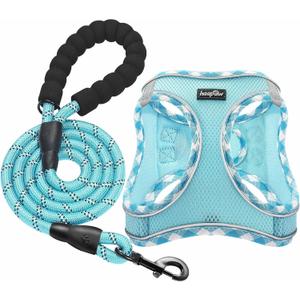 haapaw Dog Harness with Leash Set, No Pull Adjustable Reflective Step-in Puppy Harness with Thickened Padded Vest for Extra-Small/Small Medium Dogs (Turquoise, S)