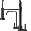 FORIOUS Black Kitchen Faucet with Purfied Water Filter, Pull Down Sprayer