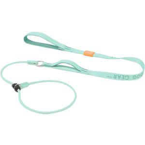 Howgo Dog Slip Lead Dog Leash, Training Lead, No-Pull Slip Leash and Collar, Heavy Duty & Durable Nylon, Padded Handle, for All Breeds (MintGreen, 5FT)