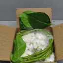 Waipfaru 21" Real Touch Hydrangea Artificial Flowers with Long Stem & Leaves, Full Latex Faux Hydrangea Flowers for Home Decor Party Floral Arrangements Wedding Bouquets Centerpieces, Green 3Pcs