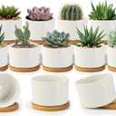 ZOUTOG Succulent Pots 3.1 Inch,Succulent Planters 12 Pack,Small Pots for Plants with Drainage and Tray,White Ceramic Flower Planters for Indoor Plants,Home,Office,Desk