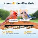 Smart Bird Feeder with Camera, 2.5K UHD Bird Feeder Camera Solar Powerd, Sensitive AI Identification, Instant Alerts Capture Video, IP66 Waterproof for Outdoor, Ideal Gift for Mom, Green