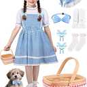 Halloween Costumes for Girls, Storybook Book Character Costumes for Girls Kids, Teen Girl Kids Halloween Costumes L 6-9Y