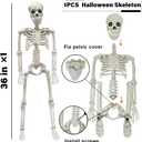 36" Skeleton Halloween Decorations, 3FT Realistic Full Body Movable Posable Joints Skeleton, Creepy Halloween Plastic Skeleton for Graveyard Decorations, Haunted House Props Indoor/Outdoor Decor