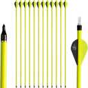 S F 28 30 inch Carbon Arrow Practice Hunting Arrows Spine 500 for Compound & Recurve Bow(Pack of 12)