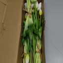 DAYHAP Artificial Flowers 15pcs Fake Tulips Real Touch, Faux Latex Tulips Flowers with Gift Box Soft Faux Tulips Bouquets Arrangements for Party Wedding Home Room Decoration(White)