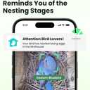 Birdfy Bird House with Camera, Solar Powered with Iron Guard for Outside, AI Identify, 1080P HD & Night Vision for Bluebird Finch Swallow Wren Chickadee Nesting Watching, Auto Detect & Notify