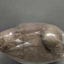 Aimuan Reading Pillow Bed Rest Pillow with Arms Rabbit Fur Cushion for Adults Teens Incline Rest Sitting up & Sleeping Snoring Pillow with Pregnancy Lumbar Back Support (Standard, Khaki)