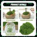 Fake Green Moss for Crafts, Artificial Moss for Potted Plants Indoor, 7OZ Faux Decor for Fairy Garden, DIY Decorative, Vase Fillers, Wedding Party, Model Making (Dark Green)
