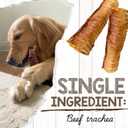 Nature Gnaws Beef Trachea Chews 3", 6 Count (EXP 07/31/28)