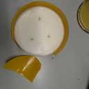 Colonial Candle Golden Sunflowers Scented Jar Candle, Pop of Color Collection, 3 Wick, 14.5 oz - Up to 60 Hours Burn
