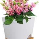 12 inch Large Self Watering Pots for Indoor Outdoor Plants, Flower Plant Pots with Drainage Holes for Garden House Plants, Plastic Planters with Reservoir for Home, White with Brown