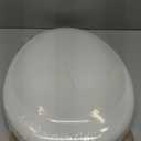 Toilet Seat in White Never Loosens Chrome Metal Hinge