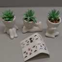 Der Rose 3 Pack Fake Plants for Office Desk Accessories Artificial Succulents Plants for Room Bathroom Home Decor for Women (White)