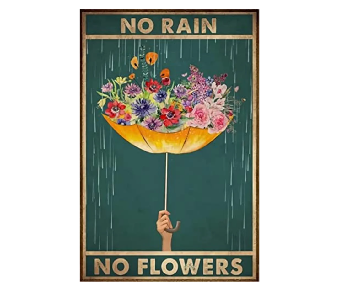 Umbrella No Rain No Flowers Man Cave Bedroom Parlor Wall Decor12x8 Inch Friend Birthday Gift Retro Tin Metal Signs