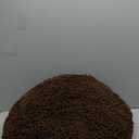 Muddy Mat Cloud K-9 Bed for Dogs & Cats, Soft & Relaxing Donut Dog Bed, Chenille Material, Removable Cover, Washable & Dryer SafeBrown Small(25'x25')