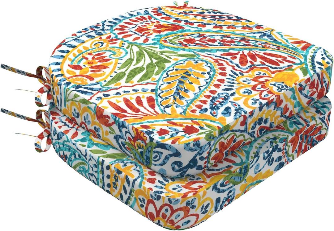 DYTXIII Outdoor Chair Cushions Set of 2, 19"x19"x2.5" Water Repellent & Fade Resistant Patio Dining Seat Cushions with Tie Straps, Indoor Outdoor Chair Pads for Patio Furniture -Paisley Multi