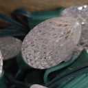 Minetom C9 Christmas Lights Outdoor, 100FT 100 LED Waterproof Strawberry String Lights, UL Certified, Connectable Green Wire Lights String for Outdoor Indoor Patio Party Roofline Backyard Xmas Decor (Pure White)