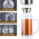 Glass Tea Cup with Infuser,18.6oz/550ml Double Wall Loose Leaf Tea Mug with Infuser and Lid Travel Tea Steeper (C14)