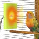 Bird Heater for Cage, Snuggle Up Bird Warmer Birds Heater for Caged Birds Parakeet Parrot Output Voltage 12V