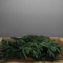 6FT Prelit Christmas Tree with 250 LED Lights, App Controlled Artificial Christmas Tree with Multi-Color RGB Lights & Music Sync, Slim Pencil Christmas Tree for Home Christmas Decorations