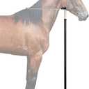 Horse Measuring Stick, Horse Height Pole, Accurately Measure The Height of Horse, Measurable (18 Hands or Less) Horses