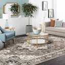 Washable Living Room Area Rug - 8x10 Large Bedroom Rug Distressed Oriental Non-Slip Non-Shedding Print Floor Carpet for Dining Room Kitchen (Beige, 8 x 10)