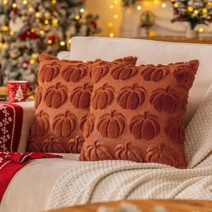 Rust Red Fall Pumpkin Decorative Throw Pillow Covers Set of 2, 18x18 Inch Soft Plush 3D Embroidered Halloween Pillow Covers for Fall Decorations Farmhouse Cushion Covers for Thanksgiving