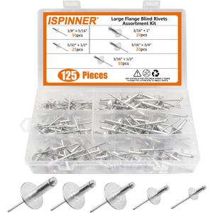 ISPINNER 125pcs Large Flange Aluminum Blind Rivets, Pop Rivets Assortment Kit (Silver)