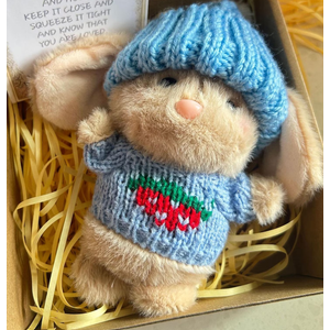 Mini Bunny Hug Cute Easter Gift Plush 2025 Bunny in a Box Hugs Positive Bunny Stuffed Animal Rabbit Soft Floppy Easter Ideas Bunnies Basket Stuffers Doll Emotional Support Inspirational Gifts 