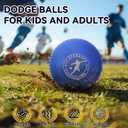 10 Inch Kickball Set, Playground Ball with Carrying Bag, Dodge Balls for Kids and Adults, Bouncing Sport Handball and Toy Ball, Outdoor Balls Official Camps,10 Inch Red&Blue 2 Pack with Pump