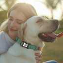 WhoseID Reflective Dog Collar with AirTag Holder,Adjustable Dog Collar with Neoprene Padded & Anti-Lost QR Code Buckle (Green, Small)