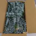 150 Pcs 4 Kinds Mixed Artificial Eucalyptus Leaves Stems Bulk Fake Silver Dollar Eucalyptus Bundle Faux Plants Greenery for DIY Bouquets Floral Arrangement Wedding Engagement Party Decor