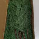 12 Pcs Artificial Norfolk Pine Branches, Norfolk Pine Artificial Pine Stems DIY Crafts Faux Christmas Greenary Norfolk Pine Branches for Xmas Wreath Garland Home Decor (12)