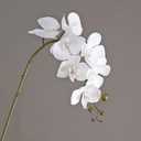 DUYONE Artificial Orchid Plant, 35 Inch 4 Pcs Phalaenopsis Flowers with Leaves, Real Touch Orchid Stems for Home Decoration