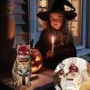 2 x Cat Mask for Cosplay - Cute & Comfortable Halloween Costume Accessory for Cats2pcs