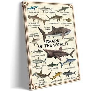 Shark Wall Art Framed Prints Educational Poster Painting Wall Decor Vintage Shark of the World Canvas Artwork 08x12 inches