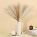 30 Pcs Pampas Grass Decor 21.7" Fluffy Faux Short Brown Pampas Grass Artificial Small Pompas Grass Flower Vase Filler for Home Wedding Living Room Wall Party Decoration