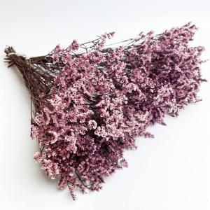 Preserved Baby's Breath Grass Bouquets, 100% Natrual Long Lasting Flowers, 17 Inch Arrangements for Vase, Home Decoration Photo Props Parties and Weddings, DIY Dcor-Baby's Breath Grass